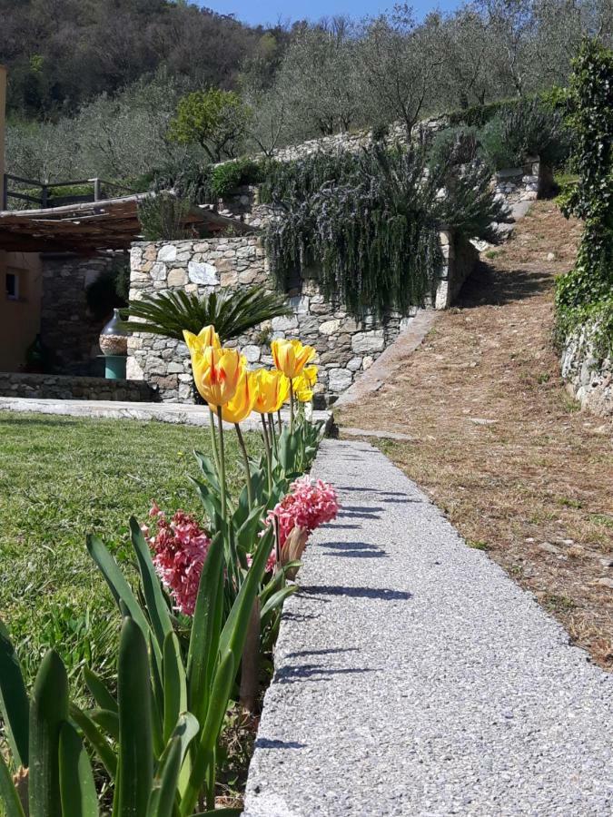 Ort Holiday'S Time Orco Feglino Dış mekan fotoğraf